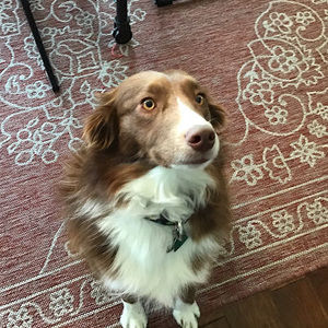 Meet your Posher, Dtstewart